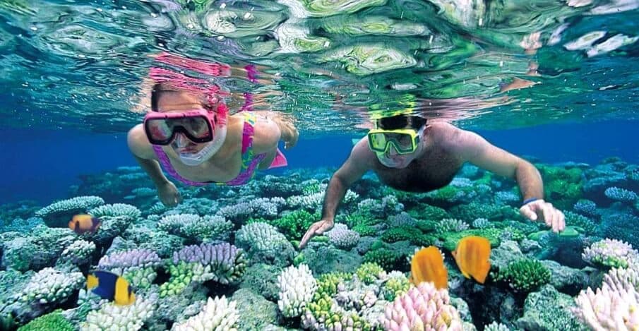 Blue Lagoon Snorkeling 5
