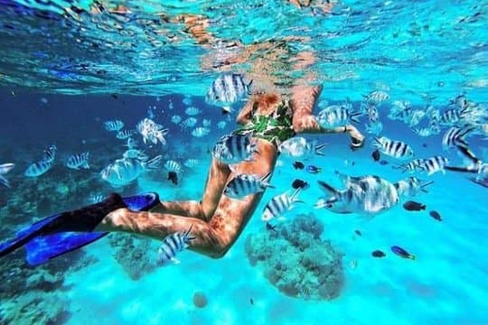 Blue Lagoon Snorkeling 14