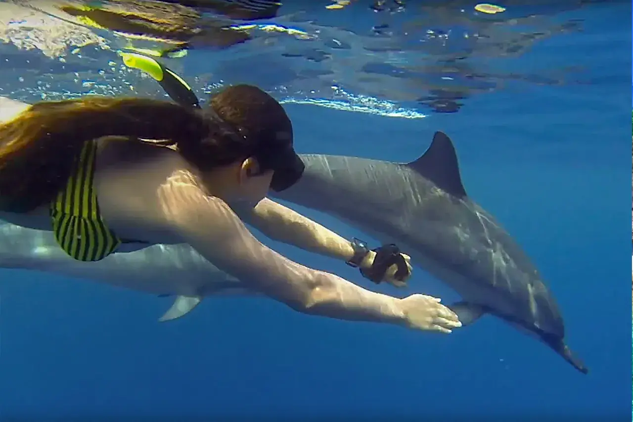 Kizimkazi Dolphin Tour 7