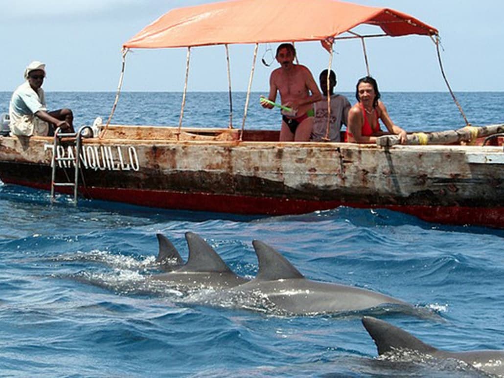 Kizimkazi Dolphin Tour 9