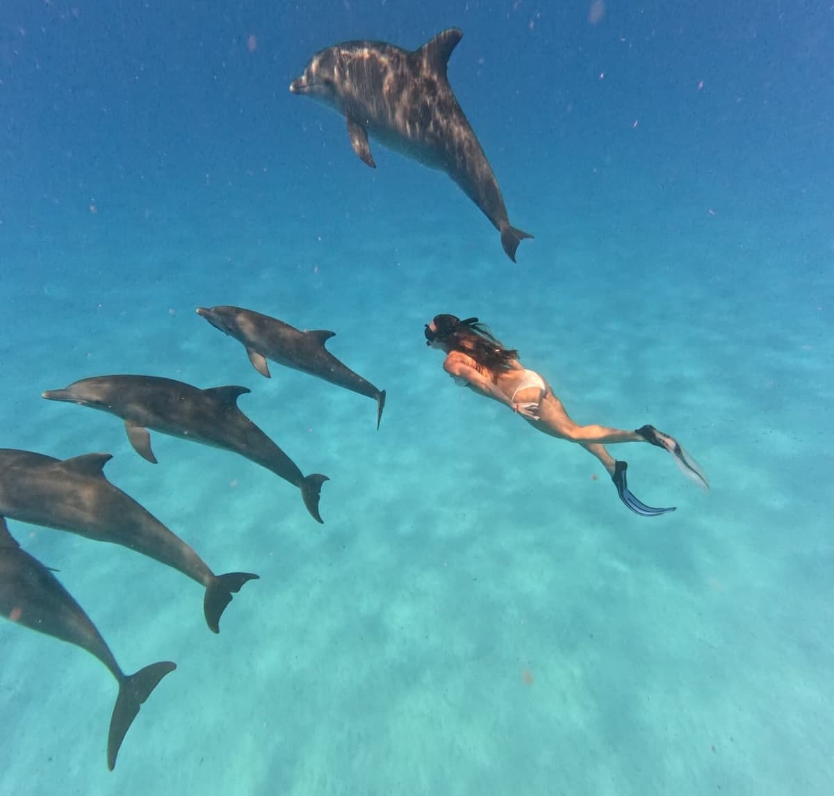 Kizimkazi Dolphin Tour 12