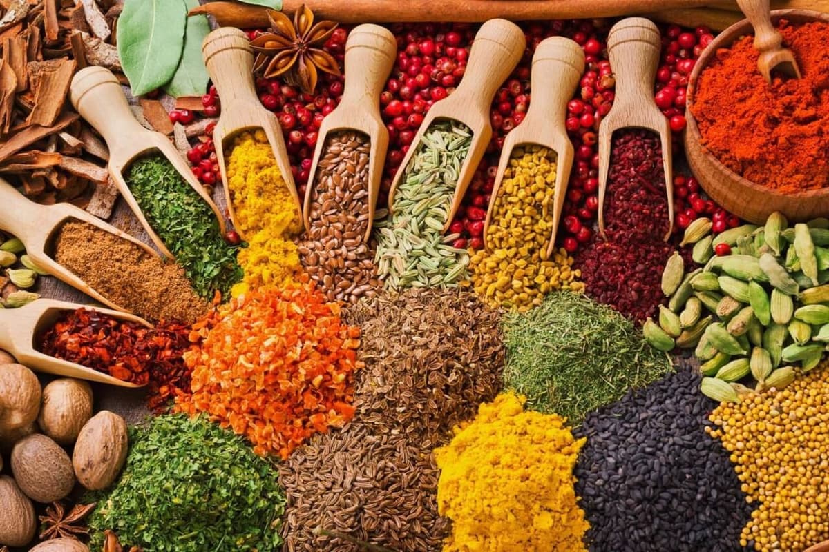Spice Farm Experience 2