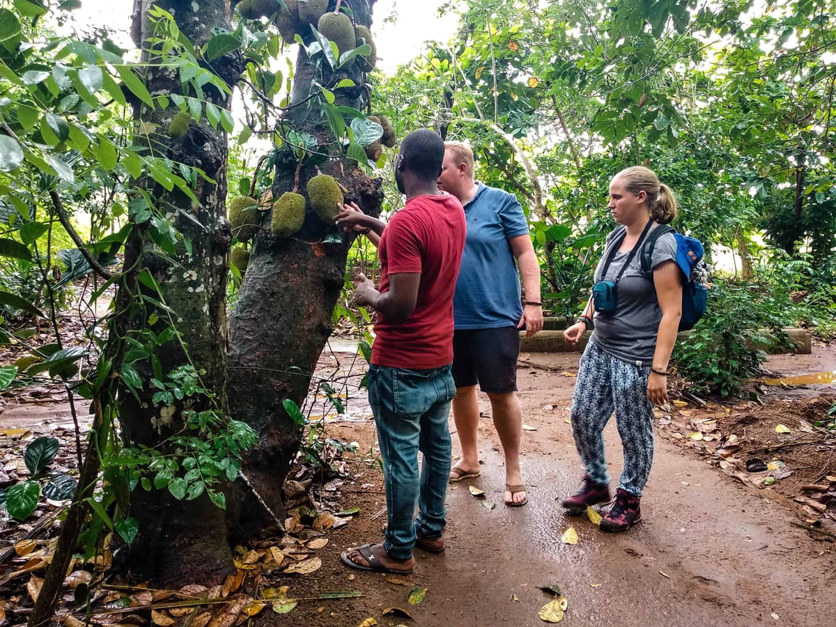 Spice Farm Experience 3