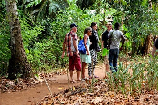 Spice Farm Experience 5